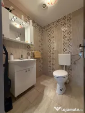 Casa individuala cu 3 camere, 316 mp utili, 480 mp teren - D 