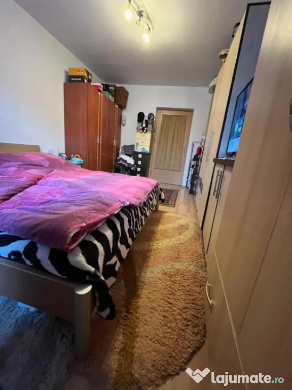 Casa cu 2 camere, 43 mp, cu curte comuna - zona Timocului - Timisoara (Timis)
