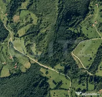 Pădure de foioase - Târsa - 30.865 m² – Teren de vânza