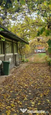 Casa 3 camere,curte,gradina si teren