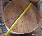 Buturuga stejar 50 cm. diam. H 75 cm. 