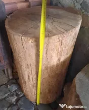 Buturuga stejar 50 cm. diam. H 75 cm. 