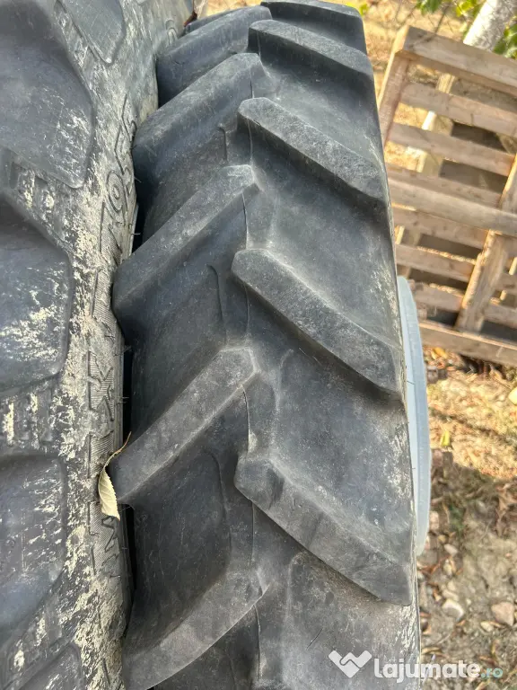 Vind roti inguste Case