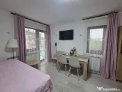 Ap 1 camera, Valea Lupului-Brown Luxury 