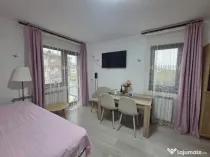 Ap 1 camera, Valea Lupului-Brown Luxury