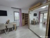 Ap 1 camera, Valea Lupului-Brown Luxury 