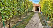 Casa individuala 3 camere | 430mp Teren | Zona Plopi 