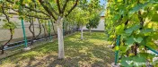 Casa individuala 3 camere | 430mp Teren | Zona Plopi 