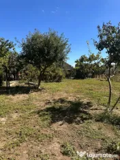 Casă P+1 cu 6 camere de vânzare în Mihail Kogălniceanu ? 