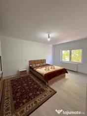 Casă P+1 cu 6 camere de vânzare în Mihail Kogălniceanu ? 