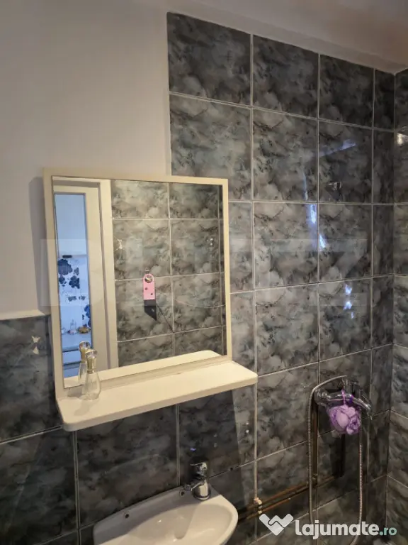 Apartament cu o camera, garaj, gradina, Zona strazii Bucures - Cluj-Napoca (Cluj)