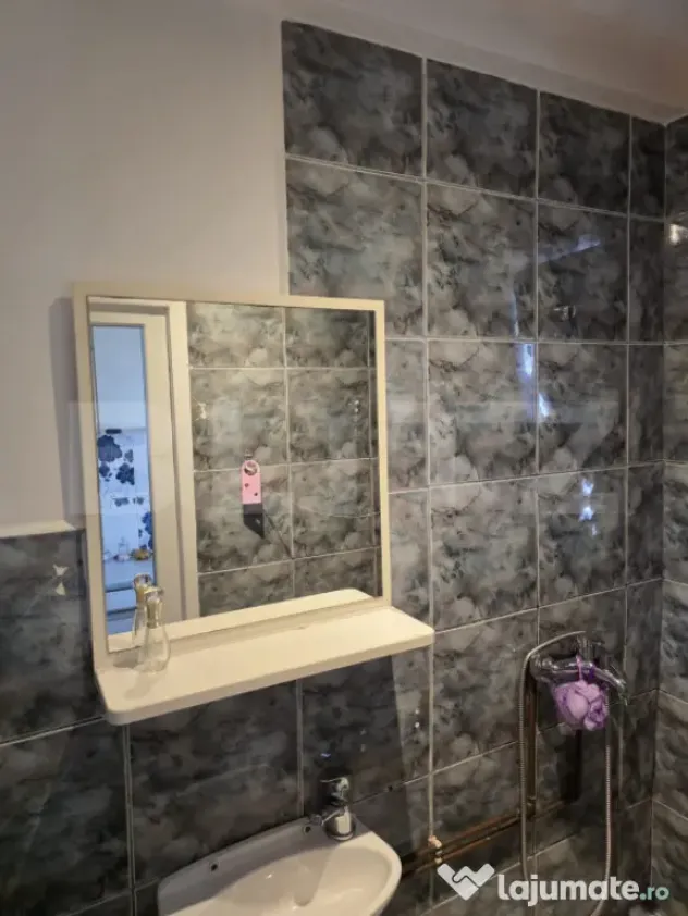 Apartament cu o camera, garaj, gradina, Zona strazii Bucures - Cluj-Napoca (Cluj)