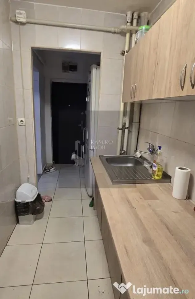 Apartament 2 camere Brancoveanu / Semenic - Bucuresti (Bucuresti-Ilfov)