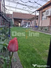 Casa/Spațiu comercial de vânzare (Vadu Crișului) 