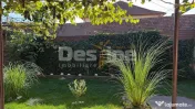 Casa/Spațiu comercial de vânzare (Vadu Crișului) 