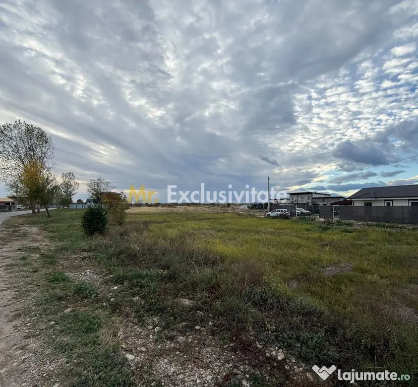 TEREN INTRAVILAN 3 LOTURI | 1.334 MP | BRADU | POTENȚIAL INVESTIȚIONAL - Bradu (Arges)