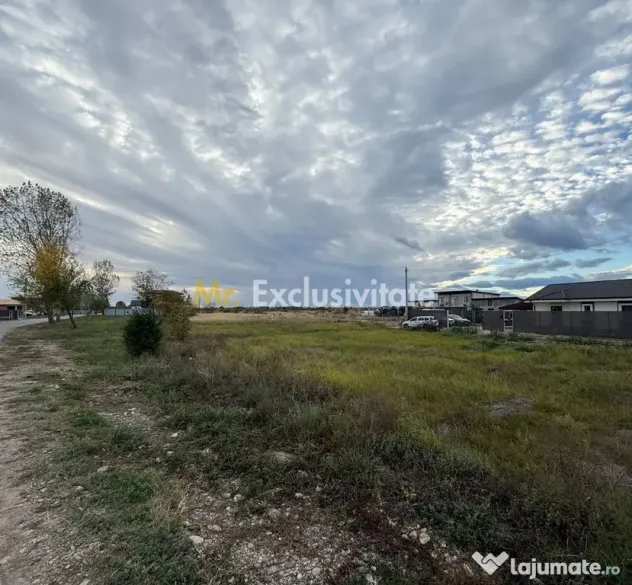 TEREN INTRAVILAN 3 LOTURI | 1.334 MP | BRADU | POTENȚIAL INVESTIȚIONAL - Bradu (Arges)