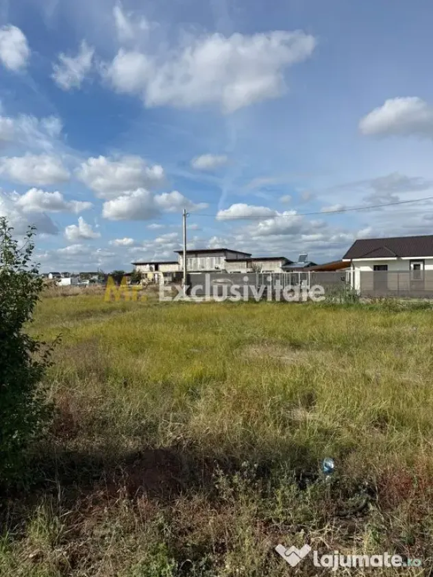 TEREN INTRAVILAN 3 LOTURI | 1.334 MP | BRADU | POTENȚIAL INVESTIȚIONAL - Bradu (Arges)