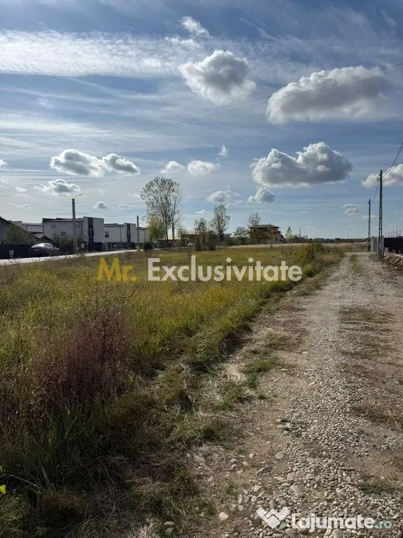 TEREN INTRAVILAN 3 LOTURI | 1.334 MP | BRADU | POTENȚIAL INVESTIȚIONAL - Bradu (Arges)