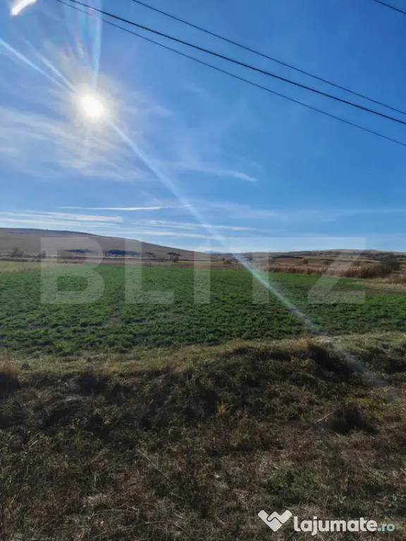 Teren extravilan 8300 mp, in Craesti - Craesti (Cluj)