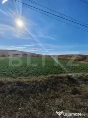 Teren extravilan 8300 mp, in Craesti 