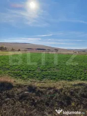 Teren extravilan 8300 mp, in Craesti 