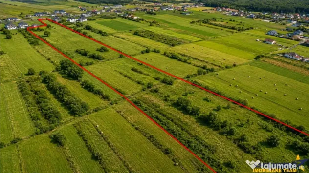FILM!22.300 mp,activ imobiliar cu valoare adaugata:turism,we - Solovastru (Mures)