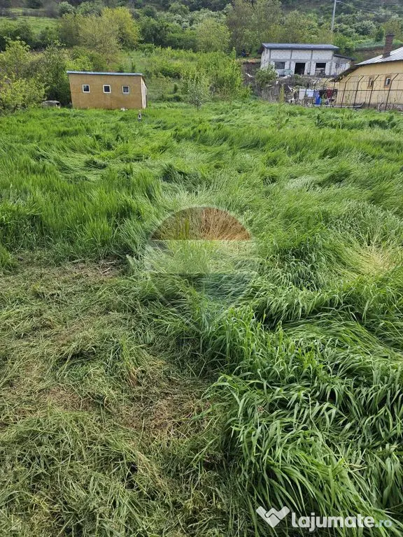 Teren Hotarele,Giurgiu 2.947 mp - Hotarele (Giurgiu)
