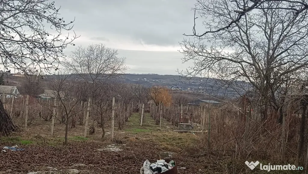 Teren de vanzare