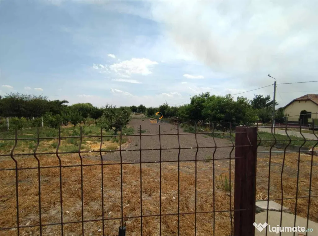 Doua Case In Curte Cenei / La 28 Km De Timisoara - Cenei (Timis)
