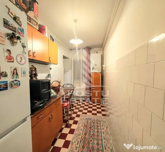Apartament cu 1 camera de vanzare, etaj intermediar, zona Bucovina - Timisoara (Timis)