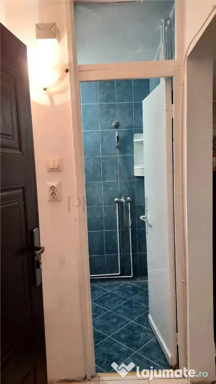 BUZIASULUI - APARTAMENT 1 CAMERA - mobilat, utilat , decoman - Timisoara (Timis)