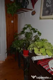 Vila de vacanta ,7 camere,panorama spectaculoasa