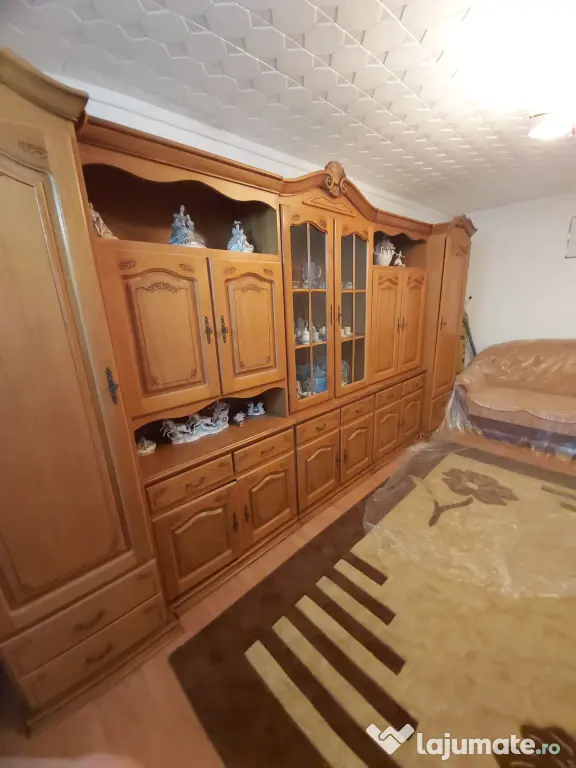 Apartament Baile Herculane