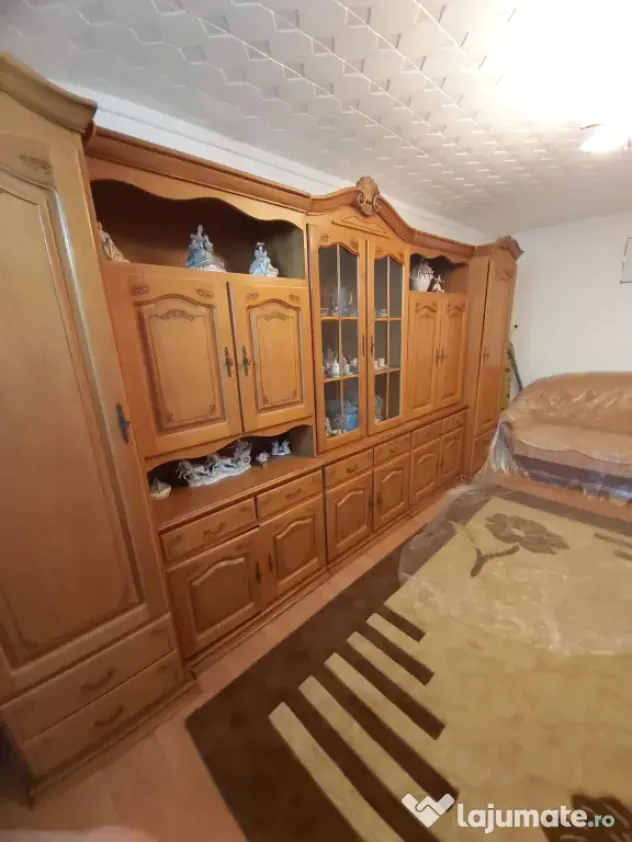 Apartament Baile Herculane
