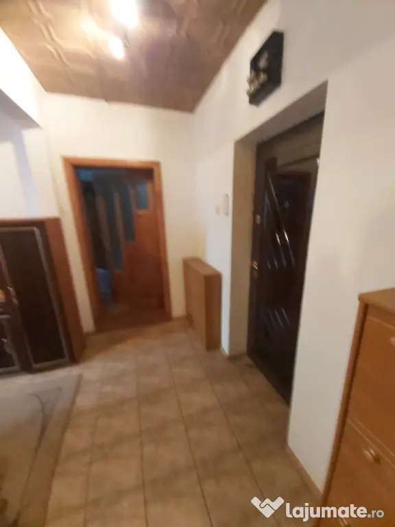 Apartament Baile Herculane
