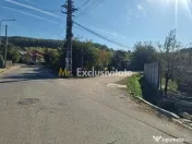 Teren 2121 mp în Topoloveni, - str. Inuri 