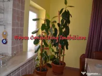 Vila de vacanta in Predeal