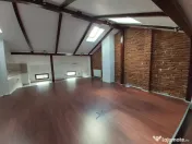 Zona Piata Victoriei - Buzesti vila 7 camere 