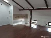 Zona Piata Victoriei - Buzesti vila 7 camere 