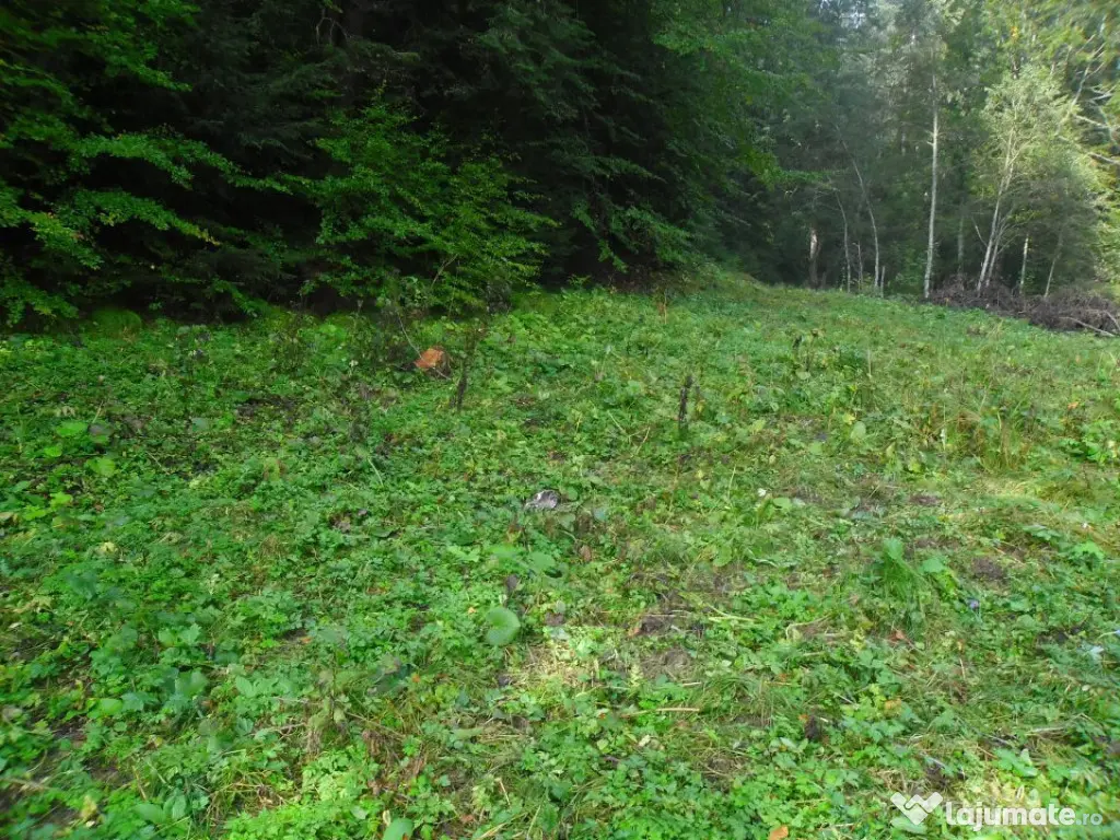 Predeal-Teren intravilan,semicentral