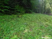 Predeal-Teren intravilan,semicentral 