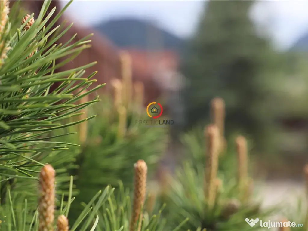 Teren intravilan18.000 mp pentru dezvoltare comerciala