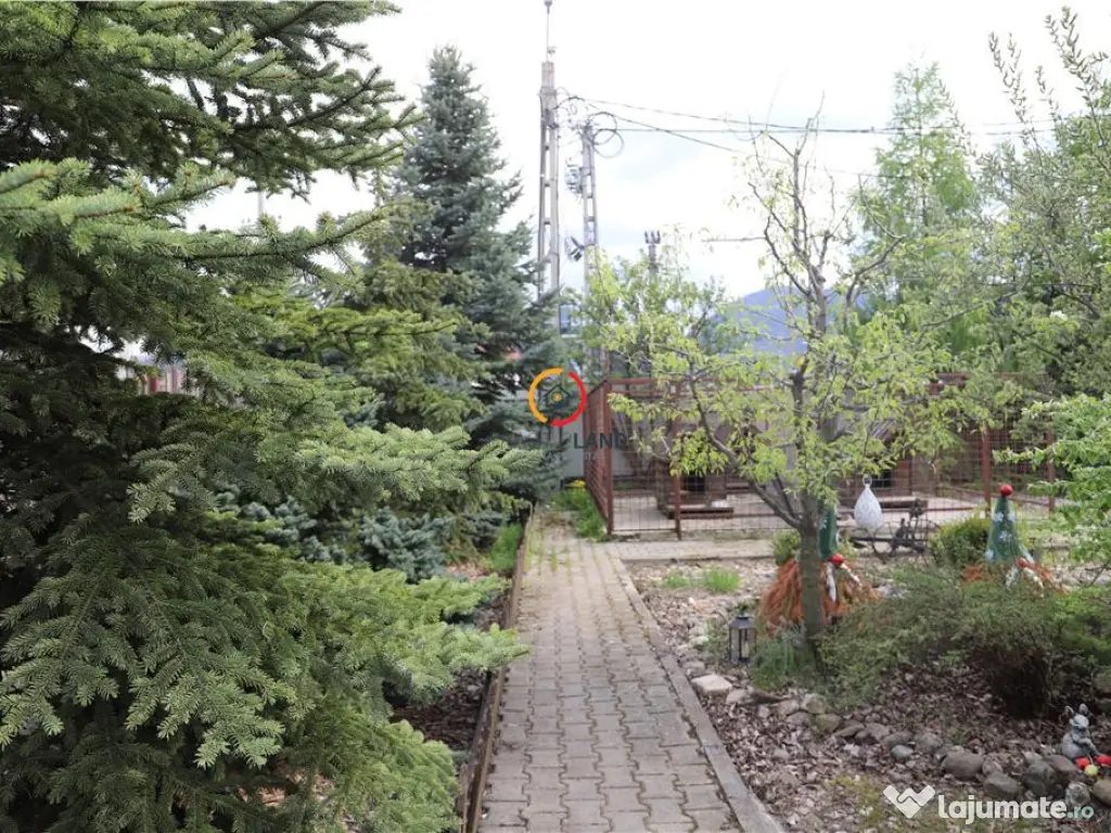 Teren intravilan18.000 mp pentru dezvoltare comerciala