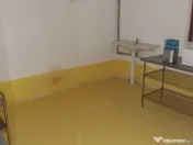 Hala 400mp 8km Braila 