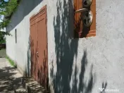 Hala 400mp 8km Braila 