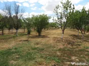 Loc de casa - Zona Aradul Nou 