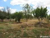 Loc de casa - Zona Aradul Nou 