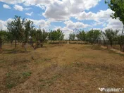 Loc de casa - Zona Aradul Nou 