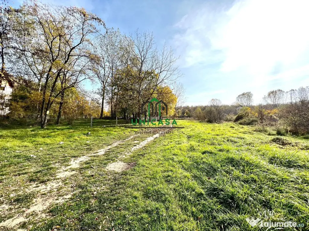 Teren Dem Radulescu 1092mp